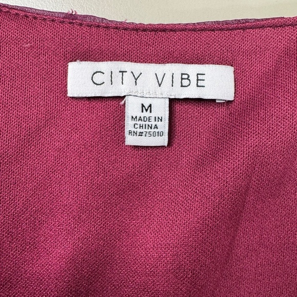 Fall Whimsigoth Lined Mini Dress with Cinched Waist Glitter Rose Mesh Medium - Picture 4 of 14